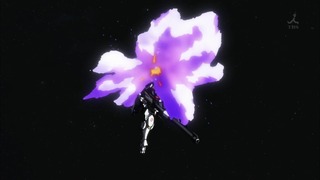 cap (135)