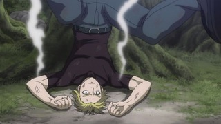 cap (113)