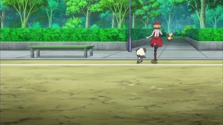 xy (37)