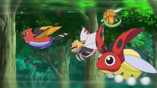 xy (76)