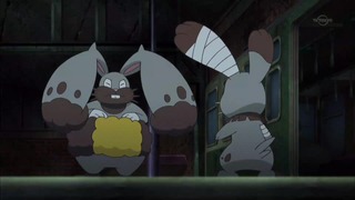 xy (117)