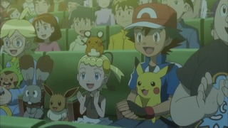 xy (94)