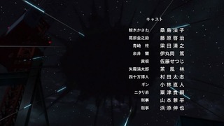 cap (221)