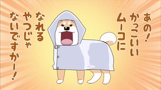 muco (9)