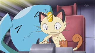 xy (73)