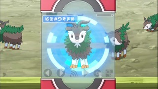 xy53 (3)