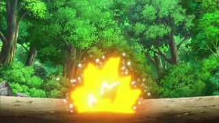 xy (125)