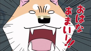 muco (69)