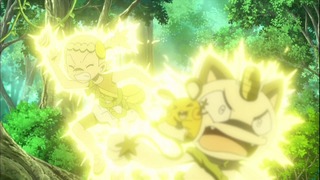 xy (75)