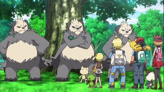 xy (148)