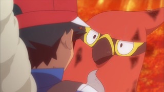 xy (163)