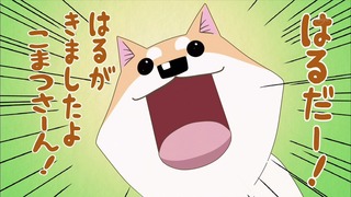 muco (45)
