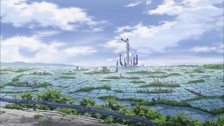 cap (248)