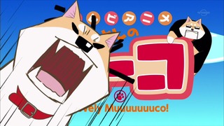 muco (65)
