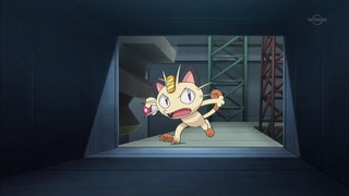 xy (137)