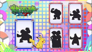 xy (80)