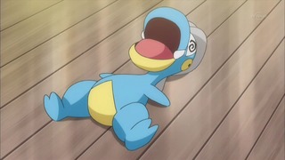 xy (145)