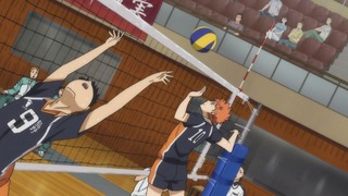 cap (231)