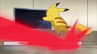 xy (66)