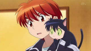 rin (75)