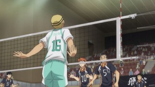 cap (225)