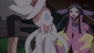 xy (82)