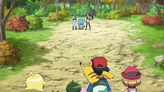 xy (70)