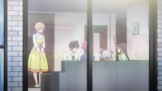 fan-244