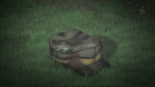 cap (14)