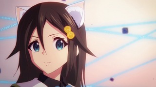 fan-264
