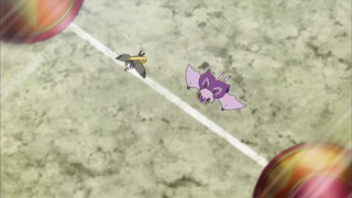 xy (148)