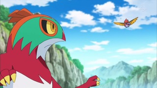 xy (90)