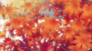 xy (65)