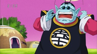 cap (14)