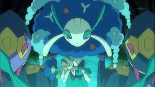 xy (35)