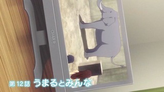 cap (2)