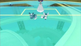 xy (18)