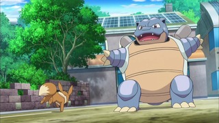 xy (165)
