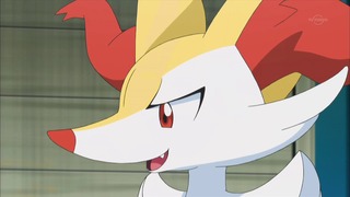 xy (146)