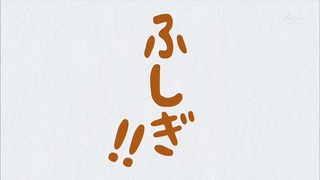 muco (46)