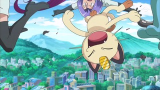 xy (156)