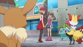 xy (30)