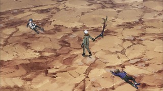 cap (17)
