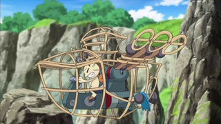 xy (114)