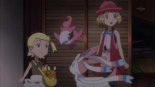 xy (83)