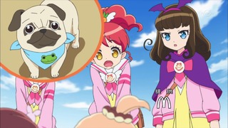 cap (14)