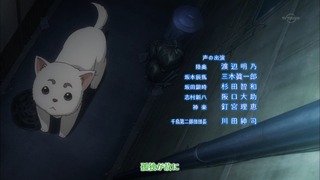 cap (226)