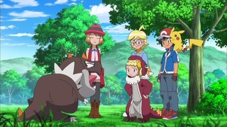 xy (33)