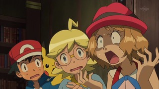 xy (80)