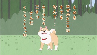 muco (66)